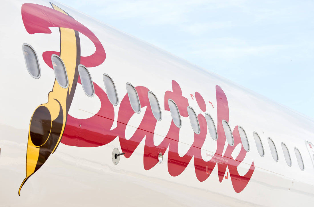 Batik Air Livery