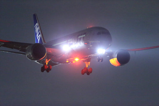 ANA B787-9 landing