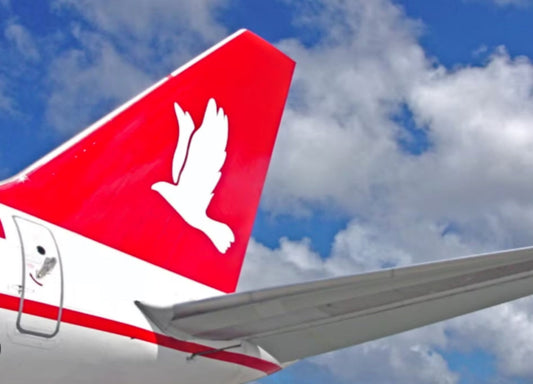Lulutai Saab 340 landing incident triggers investigation