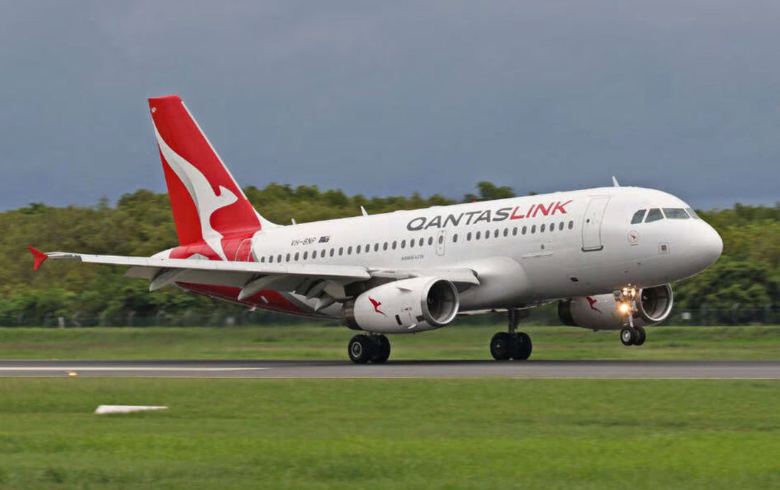 Network Aviation A319-100
