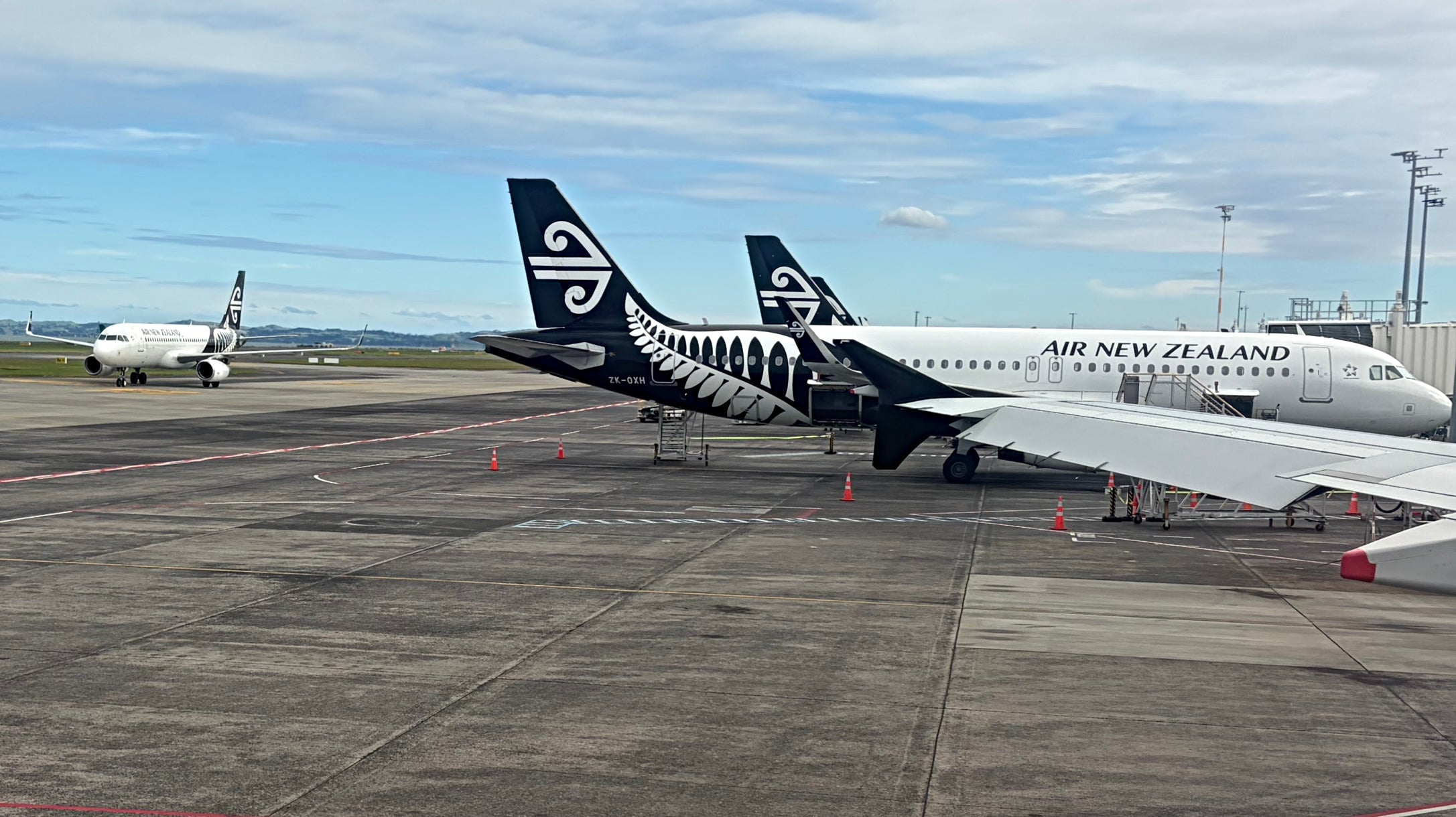 Air New Zealand’s disciplined capacity cuts results in RASK rise – Aero ...