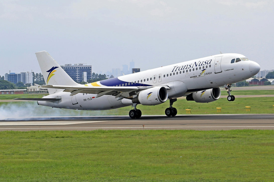 TransNusa Airbus 320-200