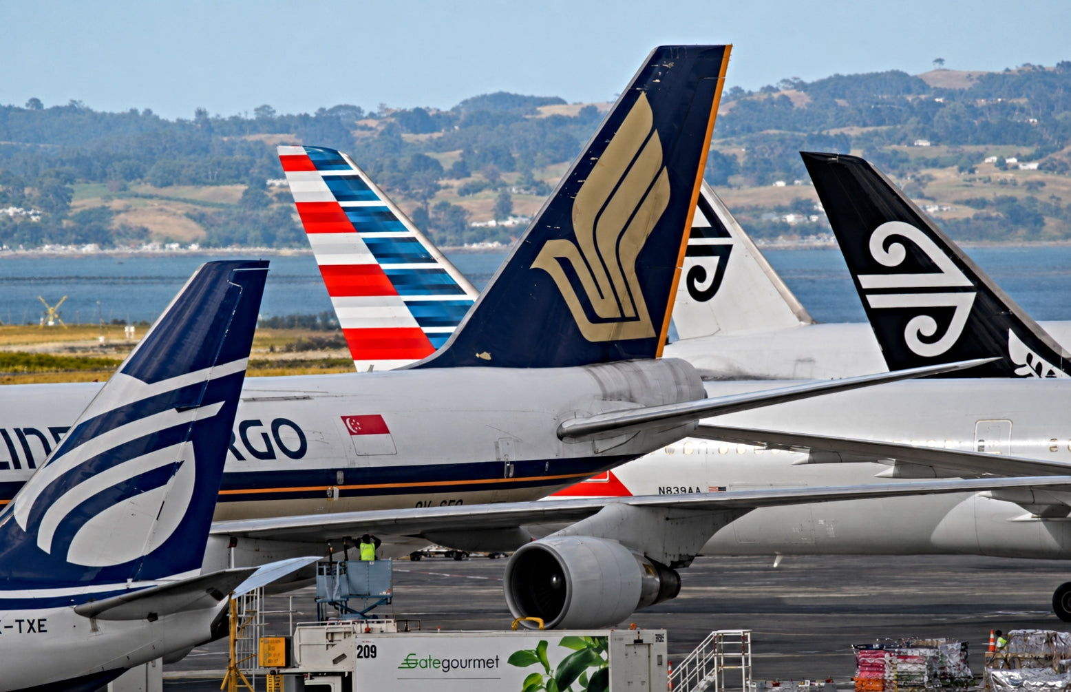 Aircraft tails at Auckland Airport